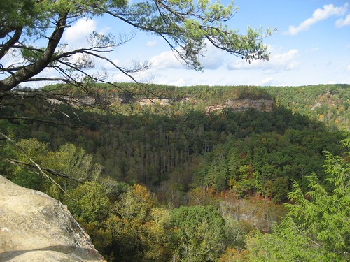 A stunning view of the Red River Gorge.