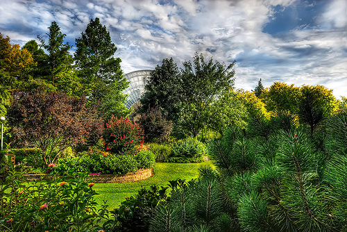 A lush and verdant section of the Myriad Botanical Garden in Oklahoma City, OK.