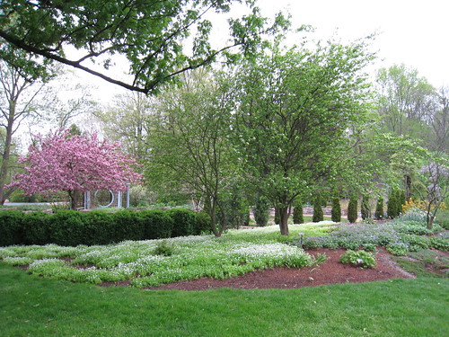 A display of springtime trees at a local arboretum.