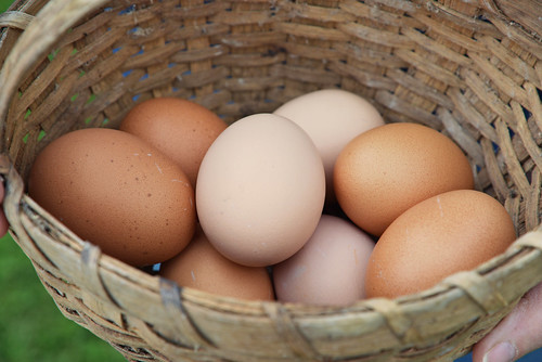 A basket of farm fresh eggs.
