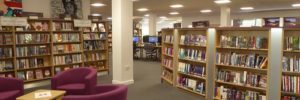 A relaxing view of a reading area in the Bicester Library.
