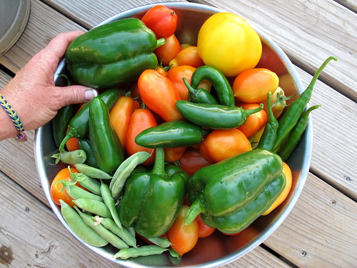 A bowl full of freshly picked summer vegetables.