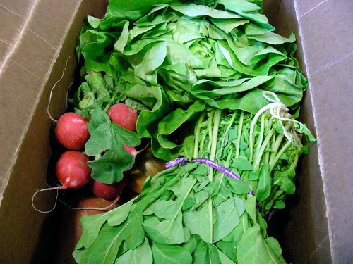 A box full of locally produced vegetables including lettuce, spinach, radishes, and more.