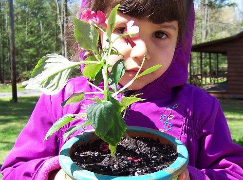 A young girl holding a potted plant around New Hartford.