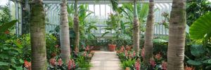 One of the tropical greenhouses that grace the lawns of the Chicago Botanical Garden near Glenview, IL.
