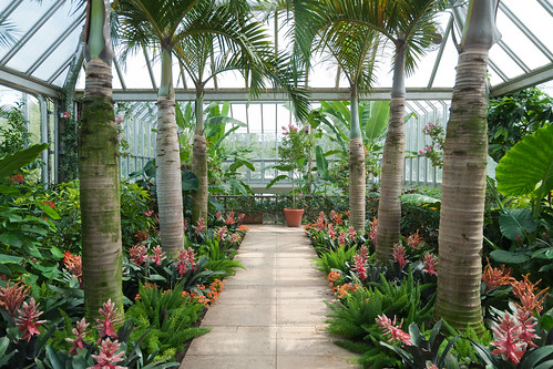 One of the tropical greenhouses that grace the lawns of the Chicago Botanical Garden near Glenview, IL.