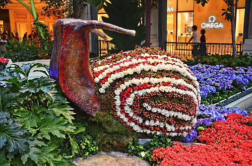 A floral arrangement at the Bellagio Conservatory and Botanical Gardens in Las Vegas, NV.