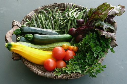 A basket of fresh vegetables including green beans, tomatoes, squash, and beats.