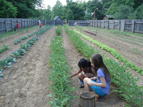 Two girls working together in their local community garden.