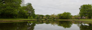 A cloudy view of one of the ponds at the Colleyville Nature Center in Colleyville, TX.