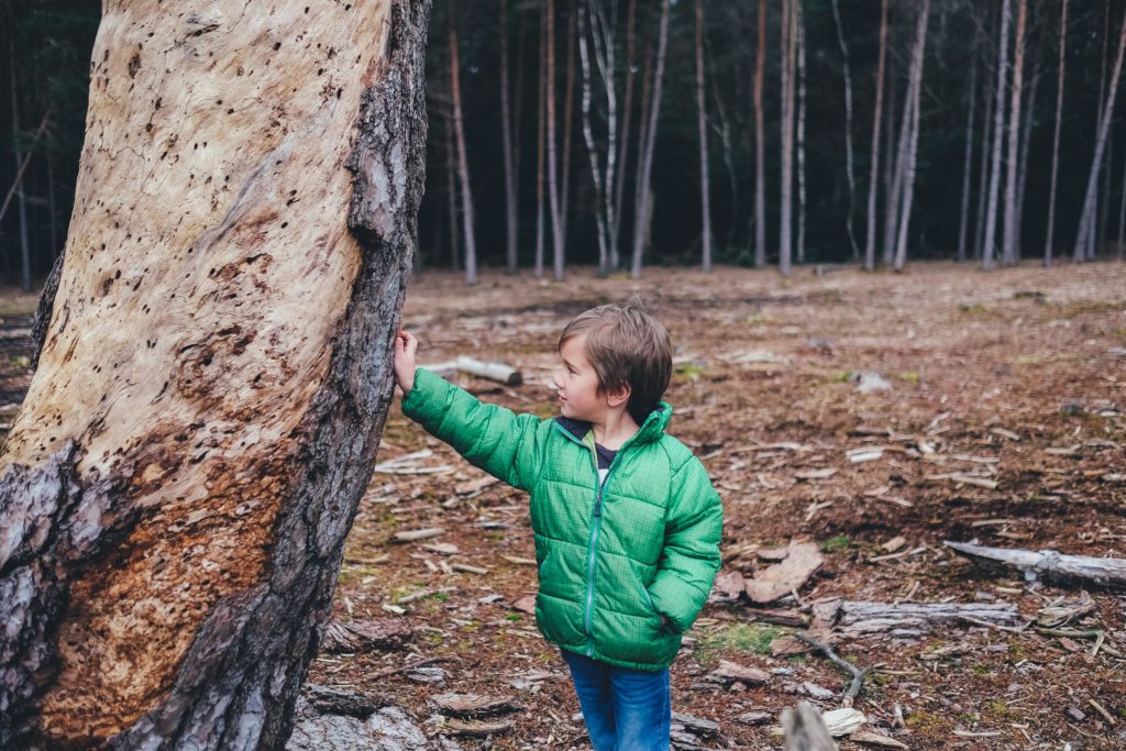 A young boy leaning against an old tree.