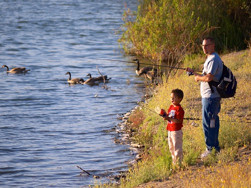 A father and son fishing at Almaden Lake around Fishers, IN.
