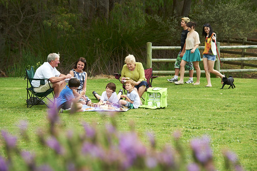 A family having a picnic in Pioneer Park around Fishers, IN.