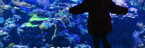A small child standing in front of a large aquarium display tank with a pronounced blue lighting.