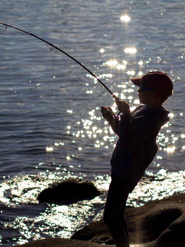 A backlit silhouette of a boy fishing on the shore of a lake.