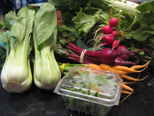 The fresh produce received from a local CSA box including carrots, raddishes, beats, and bok choy.