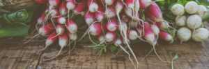Wooden boxes covered with fresh, locally sourced radishes and leeks.