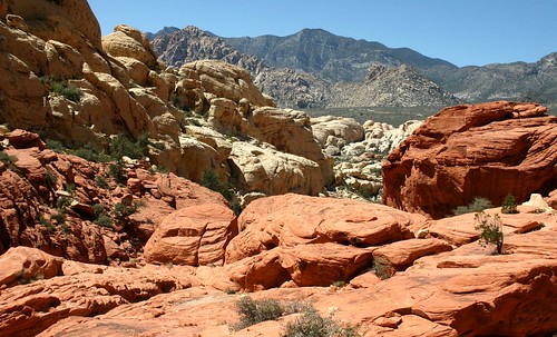Different colored stones and boulders on the trail to Calico Tank in Red Rock Canyon.