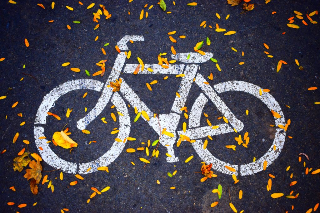 A painted bike lane symbol on the asphalt with a dusting of Fall leaves scattered around.