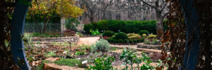 A circular view through a fence in the Inniswood Metro Garden.