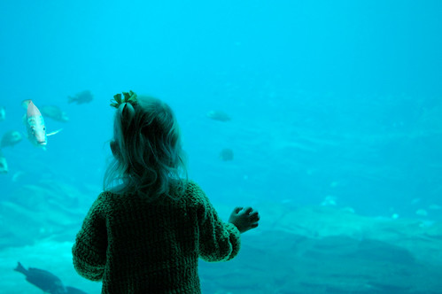 A young girl stands by glass looking at fish at aquarium near Buckhead, GA