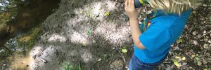 A young child investigating a local creek through his binoculars as they take a hike with their family.