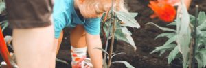 A young girl planting in a low-maintenance garden near Westerville, OH