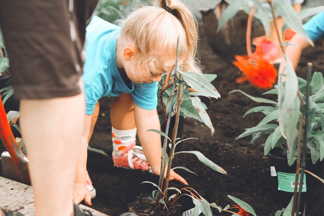 A young girl planting in a low-maintenance garden near Westerville, OH