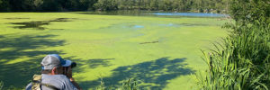 A man holds his camera to take a photograph of the Skokie Lagoons near Glenview, IL