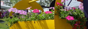 A yellow basket holding pink and purple flowers at the Leesburg Flower & Garden festival in Ashburn, Virginia