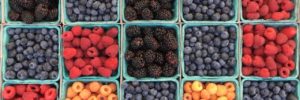 Blueberries, blackberries & raspberries in buckets at the farmers market in McKinney, TX