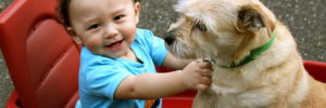 A baby pets his dog while riding around in a wagon in Coppell, TX