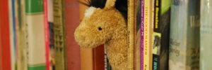 A stuffed horse sits on a bookshelf at a bookstore in Gilbert, Arizona