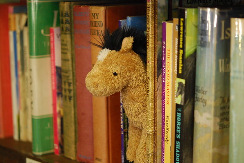 A stuffed horse sits on a bookshelf at a bookstore in Gilbert, Arizona