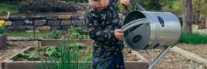 A young boy waters his low-maintenance garden in Leawood, Kansas