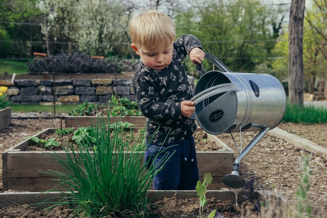 A young boy waters his low-maintenance garden in Leawood, Kansas
