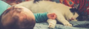 A newborn baby lays next to the cat on the couch at home in Alpharetta, GA