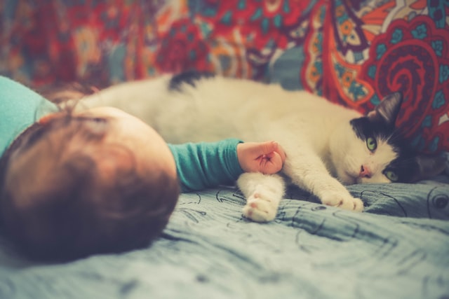 A newborn baby lays next to the cat on the couch at home in Alpharetta, GA