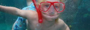 A young boy with snorkeling gear swimming at a pool in Glenview, IL