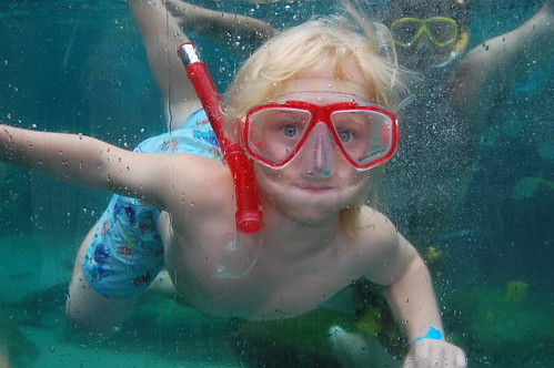 A young boy with snorkeling gear swimming at a pool in Glenview, IL