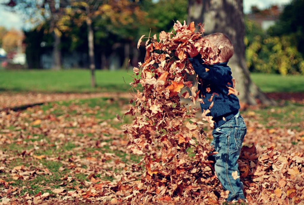A Child playing with leaves