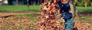 A Child playing with leaves