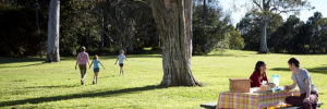 Children play in a park in Goodyear, Arizona