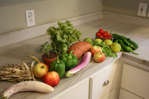 Fruits and vegetables from a CSA box in Carmel, Indiana set out on the counter