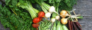 Medley of fresh vegetables.