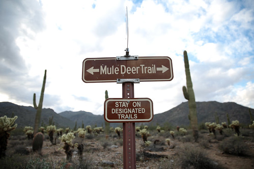 Landscape image of Mule Deer Trail Sign with a desert in the background.