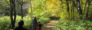 Image of family walking down hiking trail.