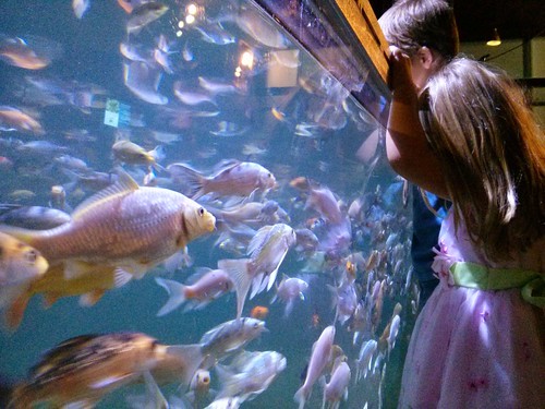Image of a young girl leaning against the glass of an aquarium.