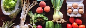 Assortment of healthy vegetables.