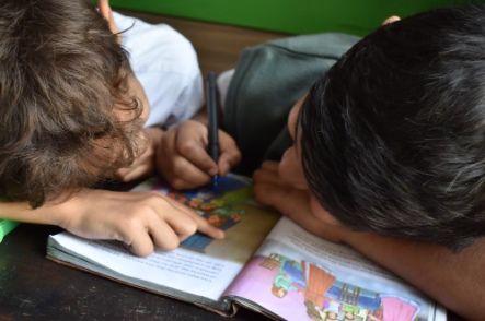 Two small boys sharing a book to read.